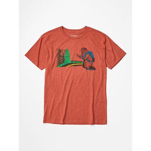 Marmot Trek Clothes - Mens T-Shirts Multicolor CA6127049 Canada